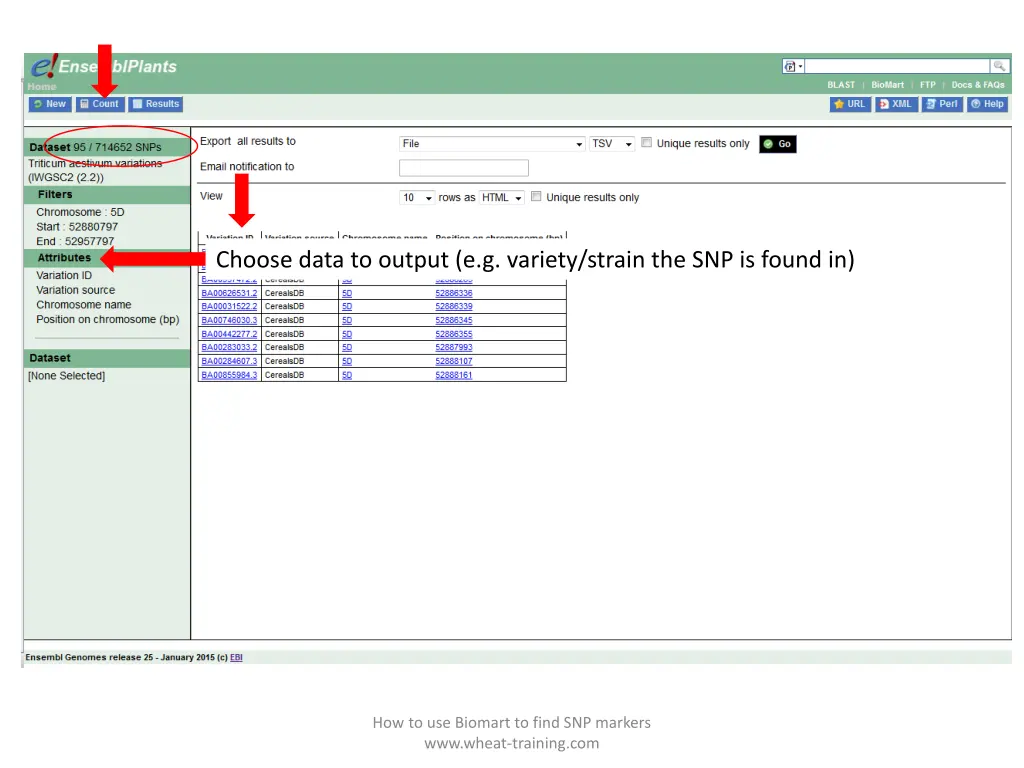 choose data to output e g variety strain