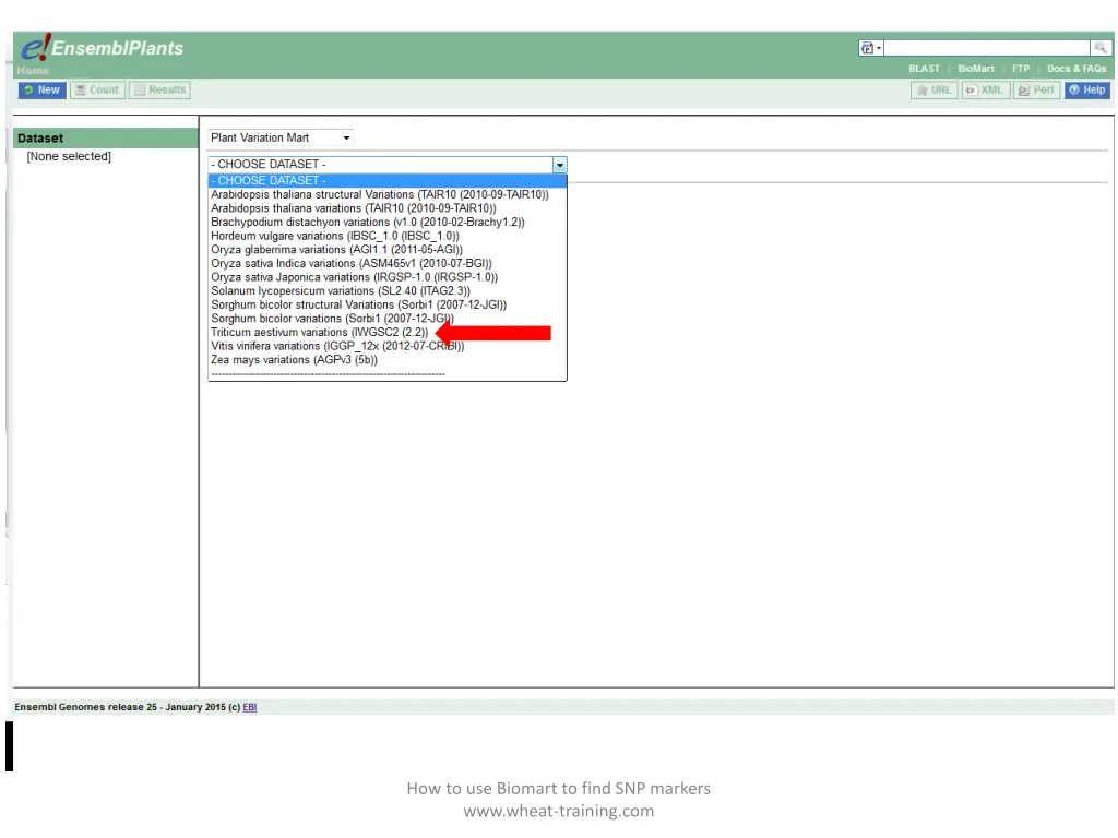 how to use biomart to find snp markers www wheat 1