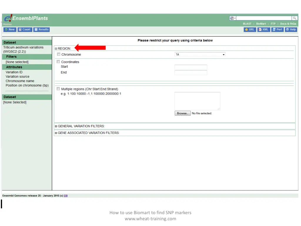 how to use biomart to find snp markers www wheat 2