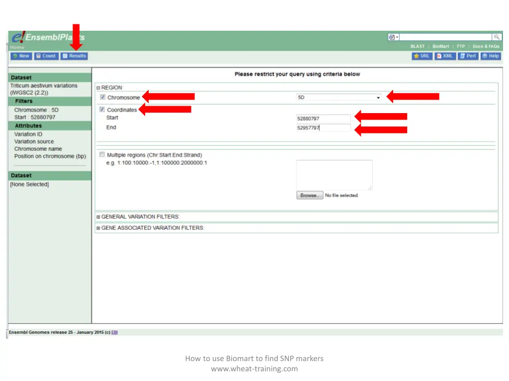 how to use biomart to find snp markers www wheat 3