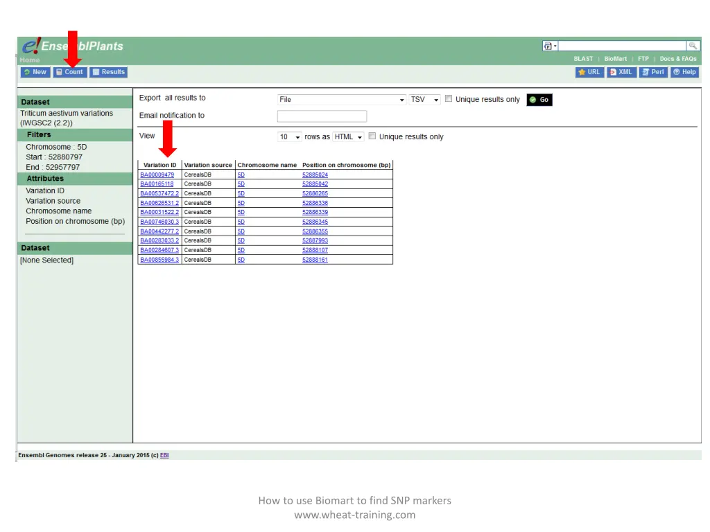 how to use biomart to find snp markers www wheat 4