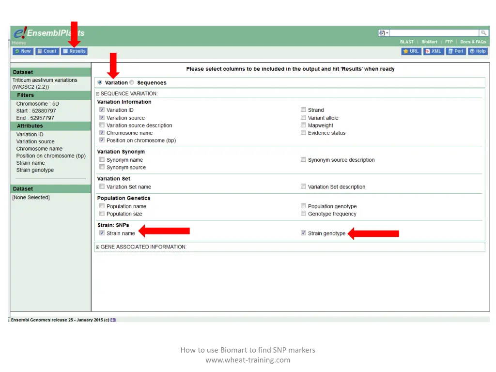 how to use biomart to find snp markers www wheat 5