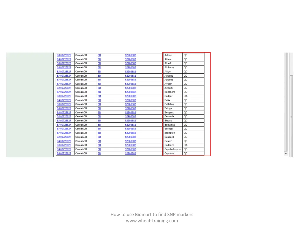 how to use biomart to find snp markers www wheat 6