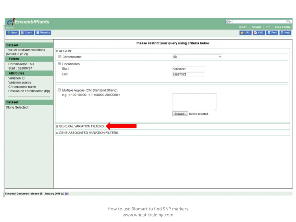 how to use biomart to find snp markers www wheat 8