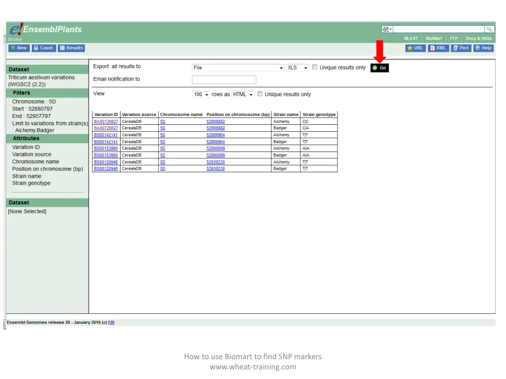 how to use biomart to find snp markers www wheat 9