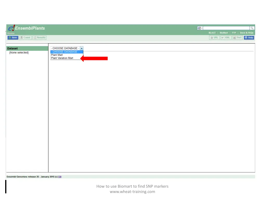 how to use biomart to find snp markers www wheat