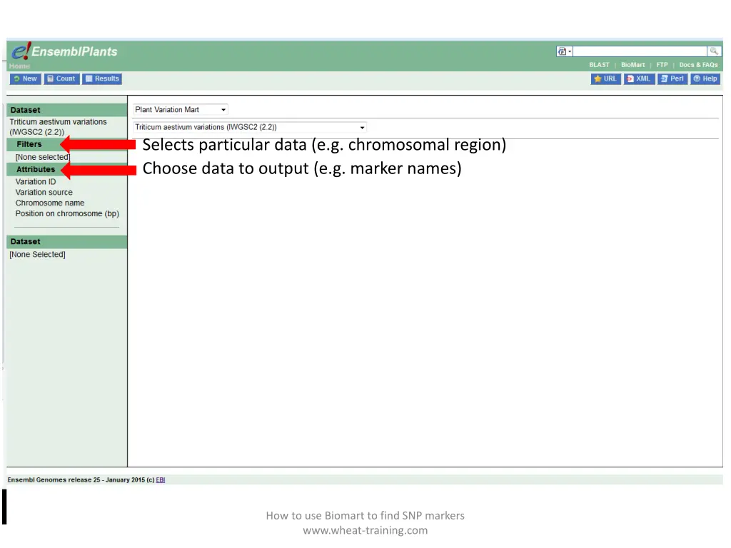 selects particular data e g chromosomal region