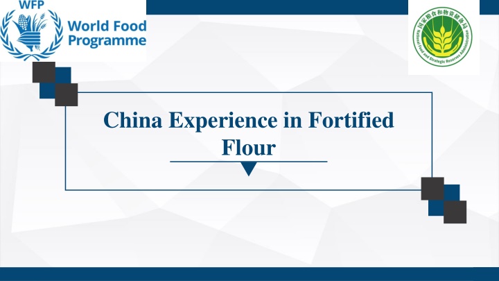 china experience in fortified flour