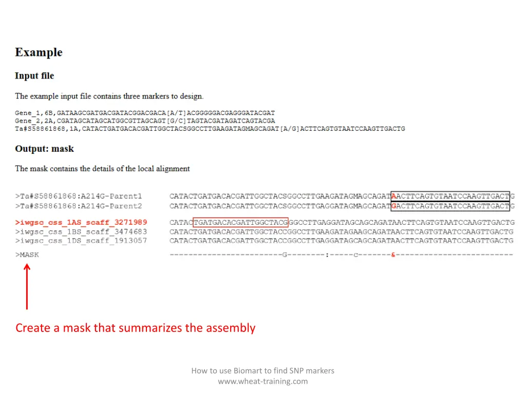 create a mask that summarizes the assembly