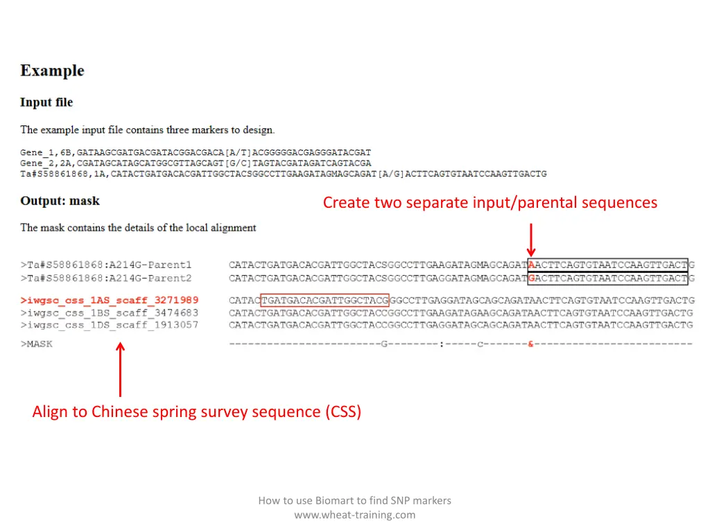 create two separate input parental sequences