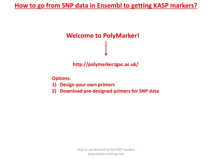 how to go from snp data in ensembl to getting