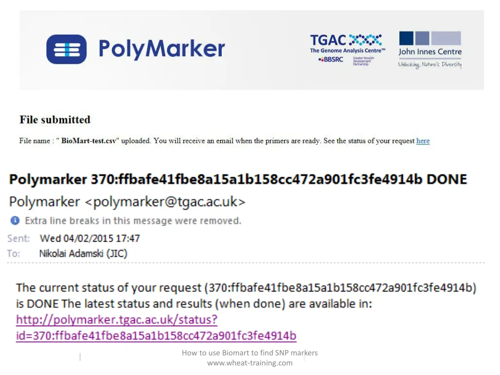 how to use biomart to find snp markers www wheat