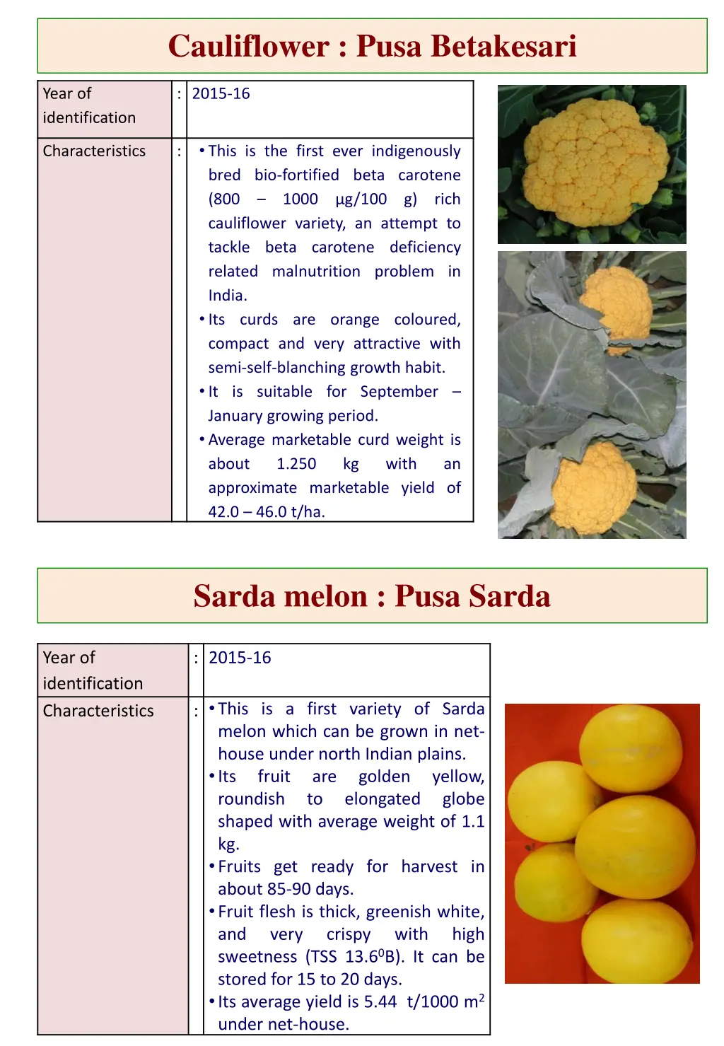 cauliflower pusa betakesari