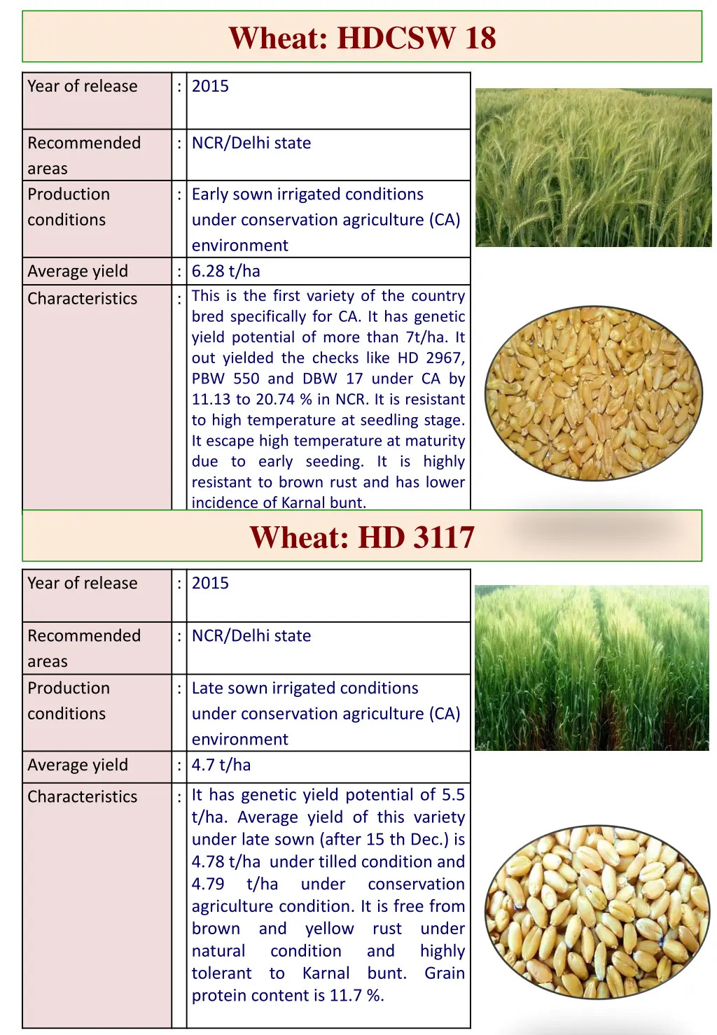 wheat hdcsw 18