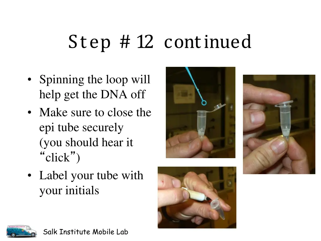 step 12 continued