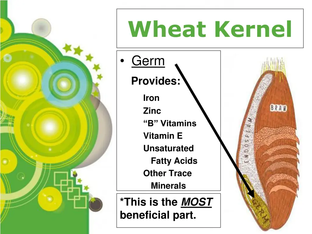 wheat kernel 1