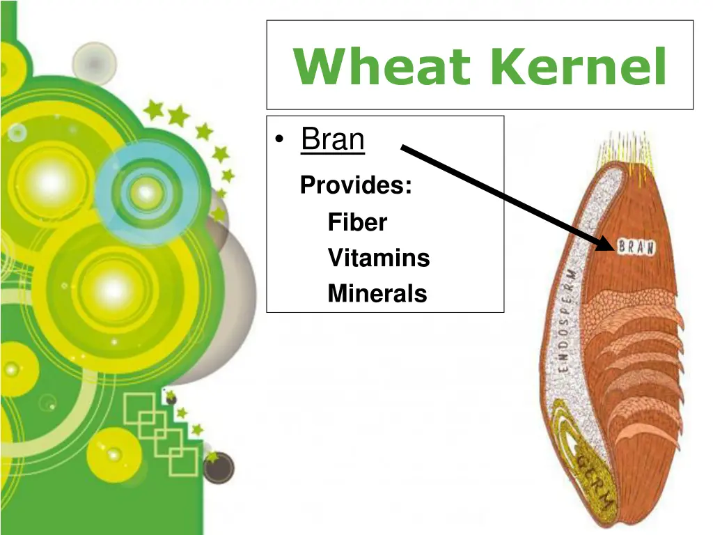 wheat kernel 2