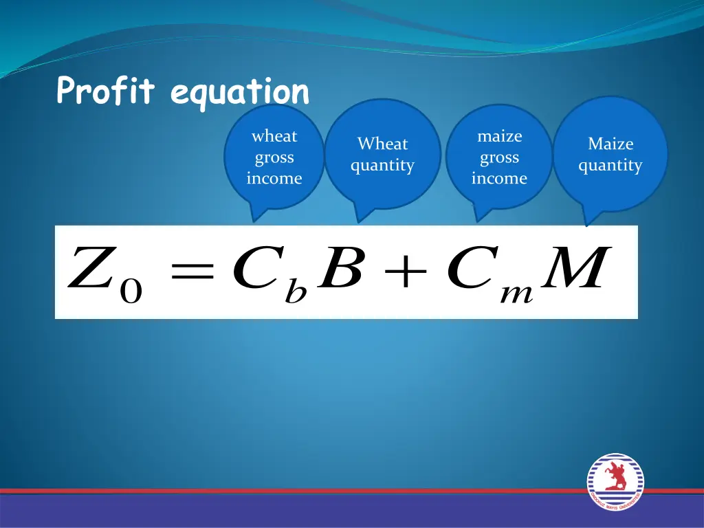 profit equation