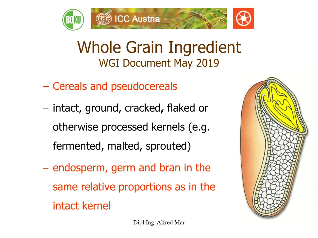 whole grain ingredient wgi document may 2019