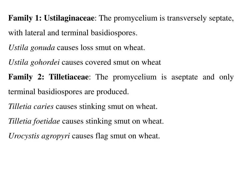 family 1 ustilaginaceae the promycelium