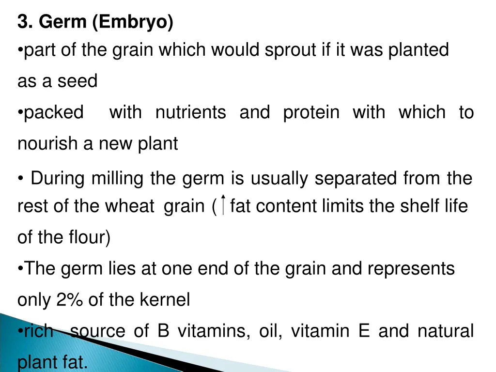 3 germ embryo part of the grain which would