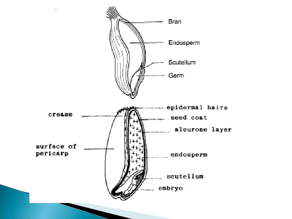 slide15