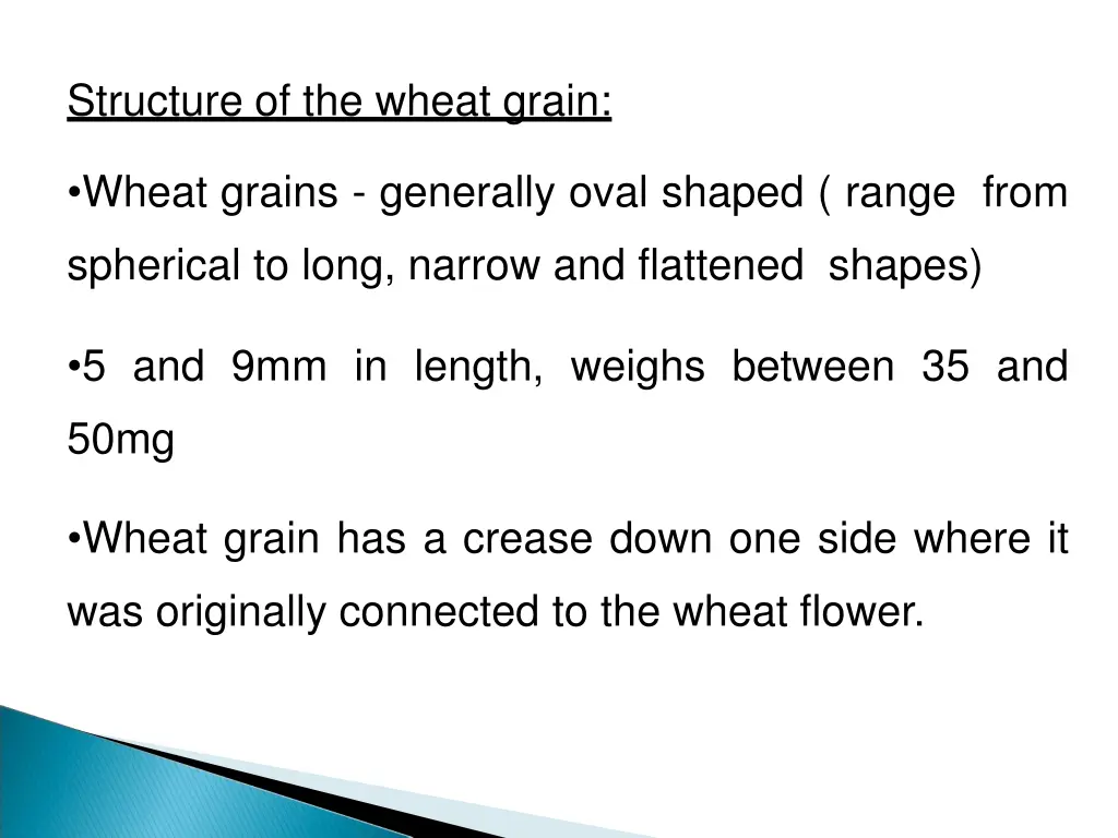 structure of the wheat grain