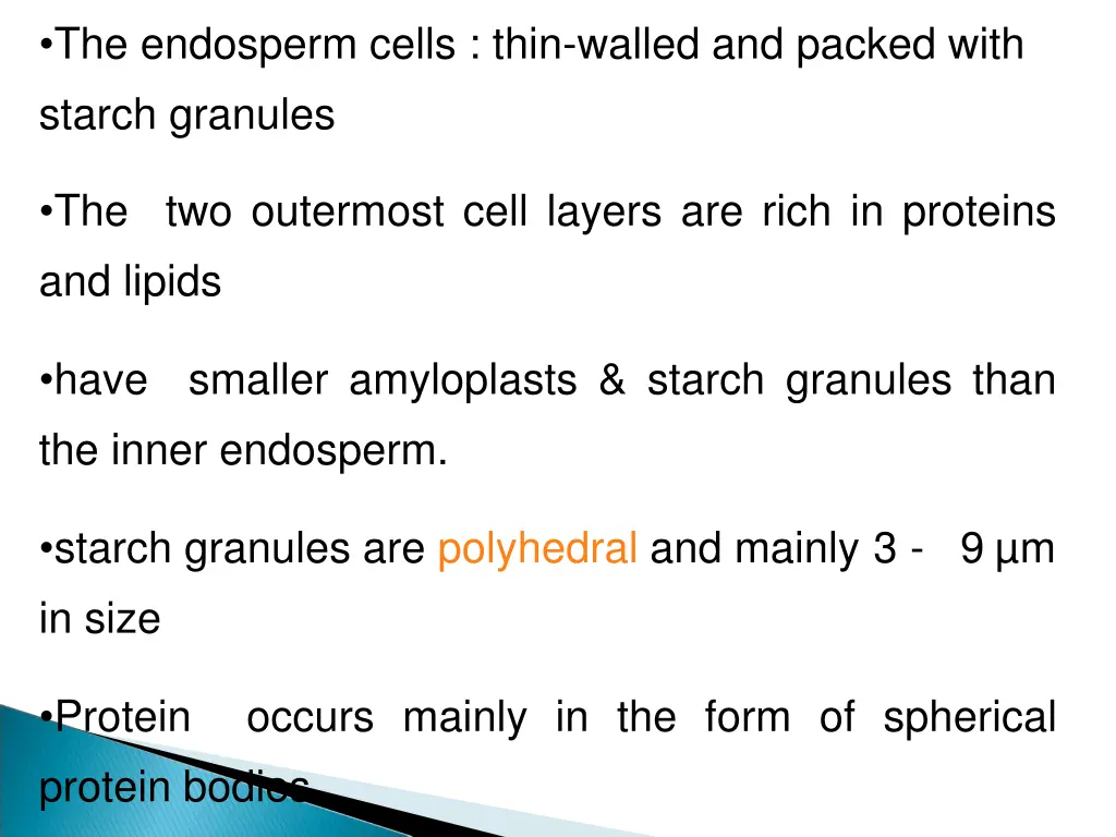 the endosperm cells thin walled and packed with