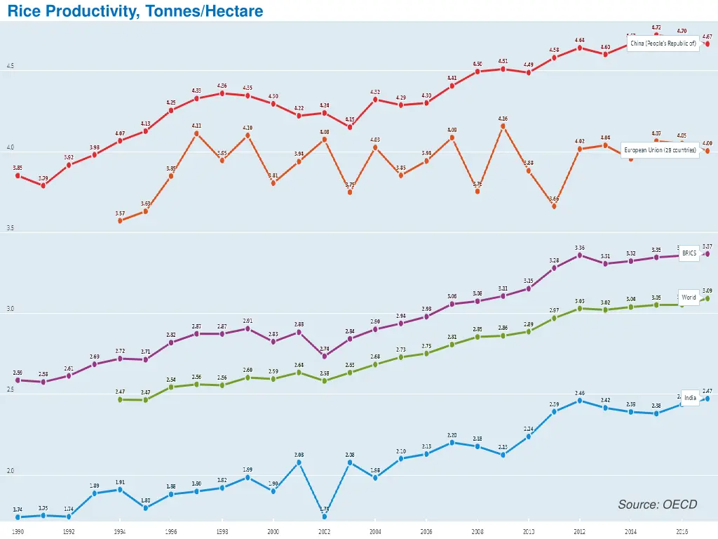 rice productivity tonnes hectare