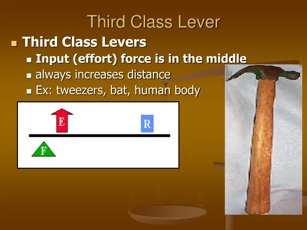 third class lever