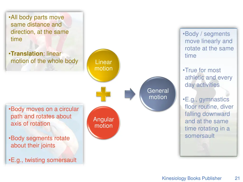 all body parts move same distance and direction