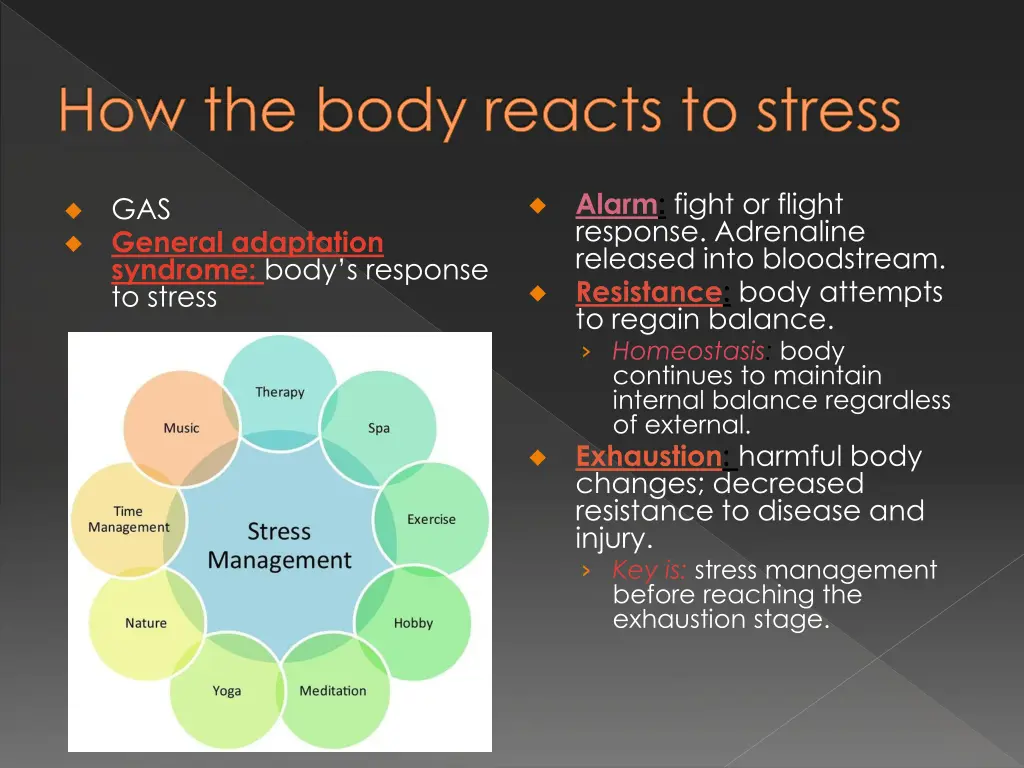 how the body reacts to stress