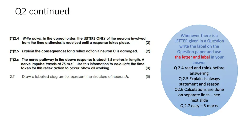 q2 continued