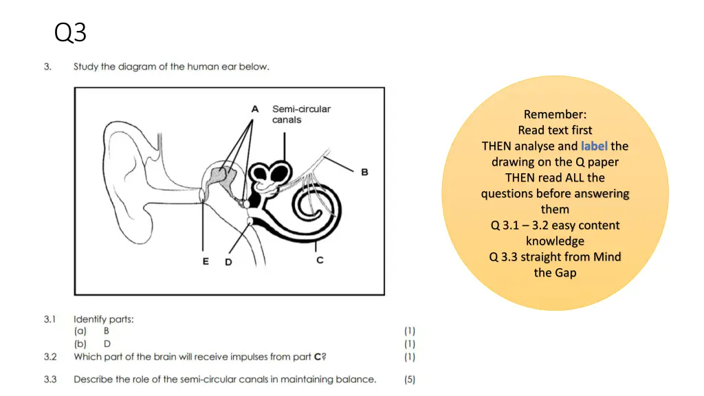 slide6