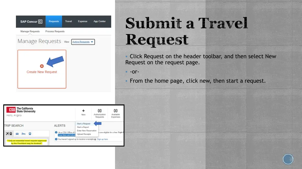 submit a travel request