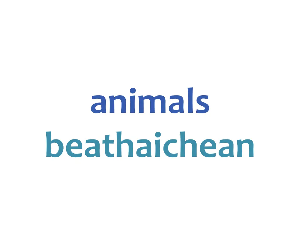 animals beathaichean