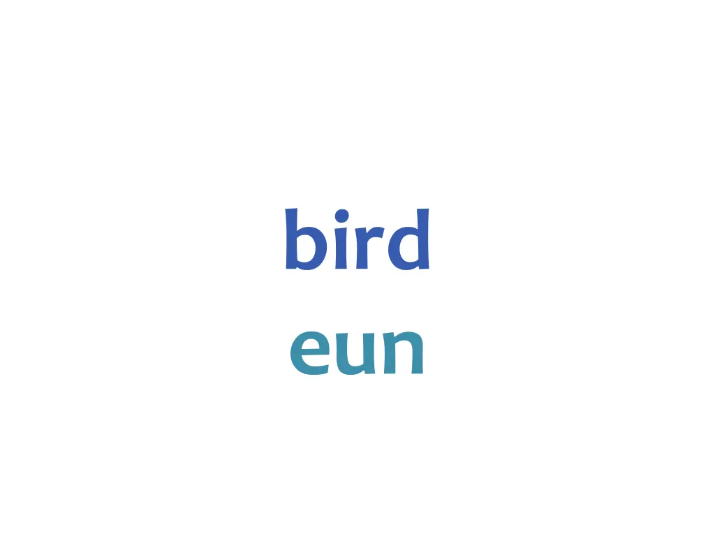 bird eun