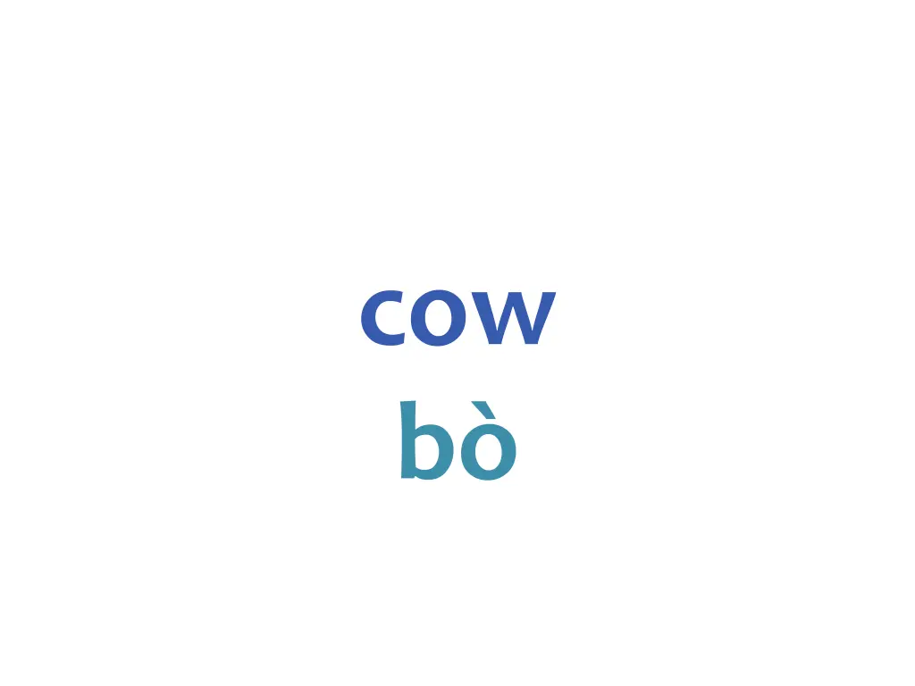 cow b