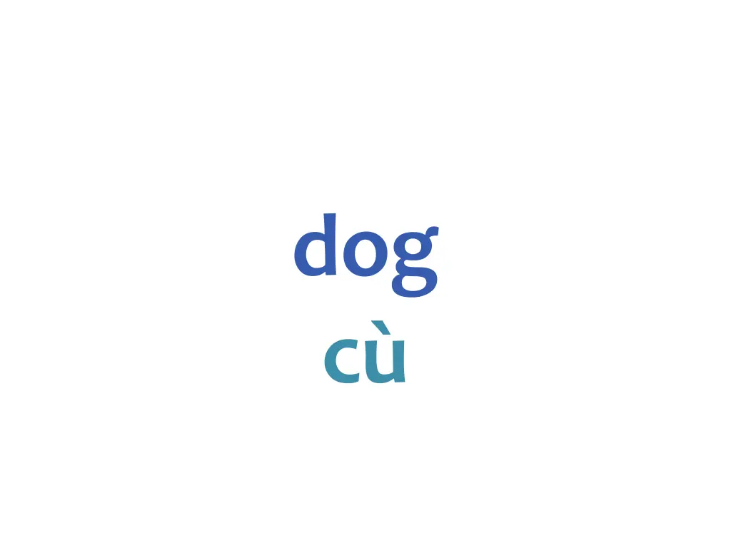 dog c