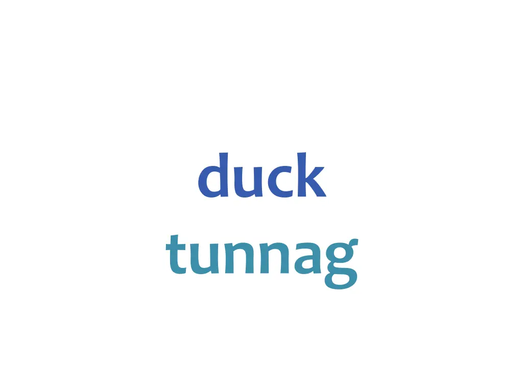 duck tunnag