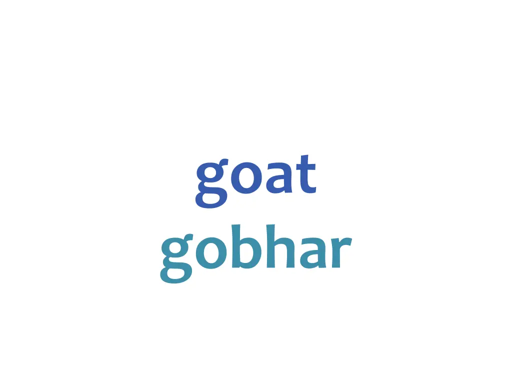 goat gobhar