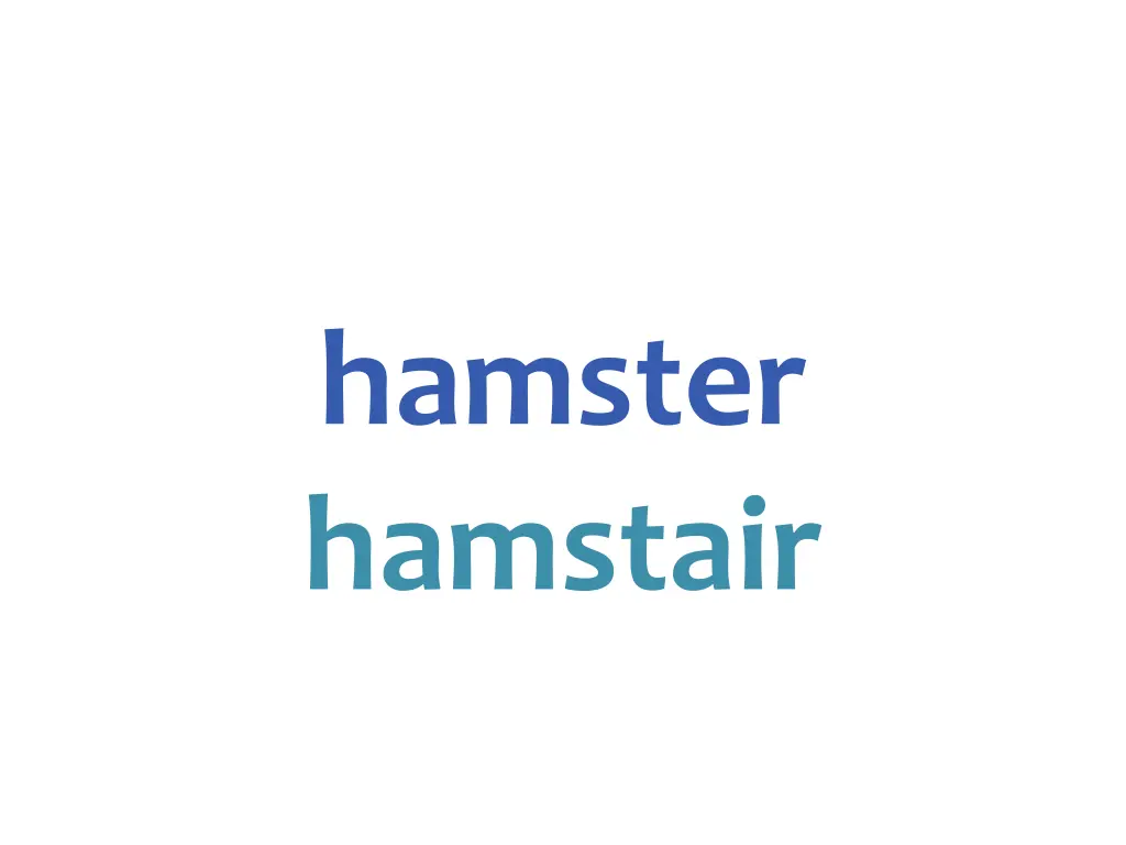 hamster hamstair