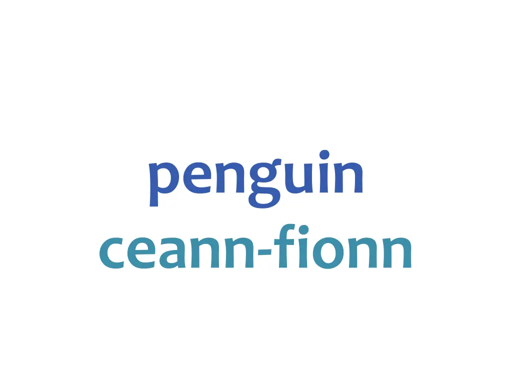 penguin ceann fionn