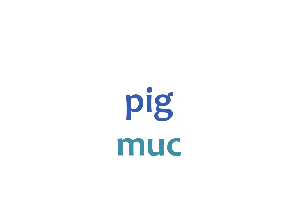 pig muc