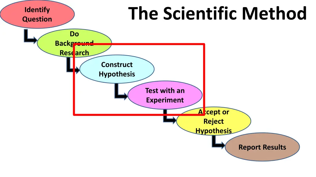 the scientific method