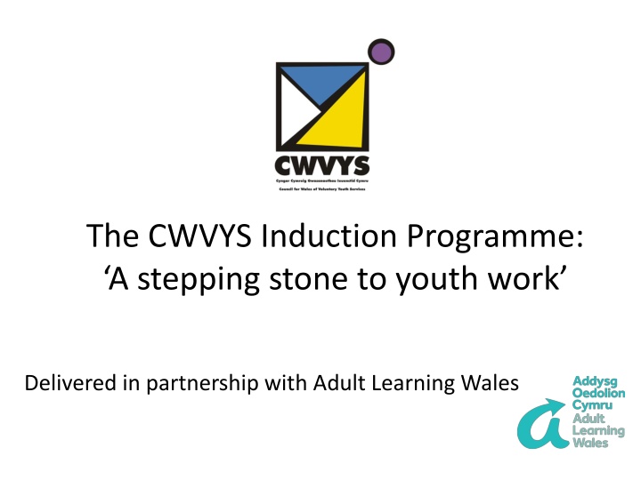 the cwvys induction programme a stepping stone