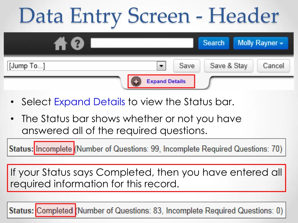 data entry screen header 2