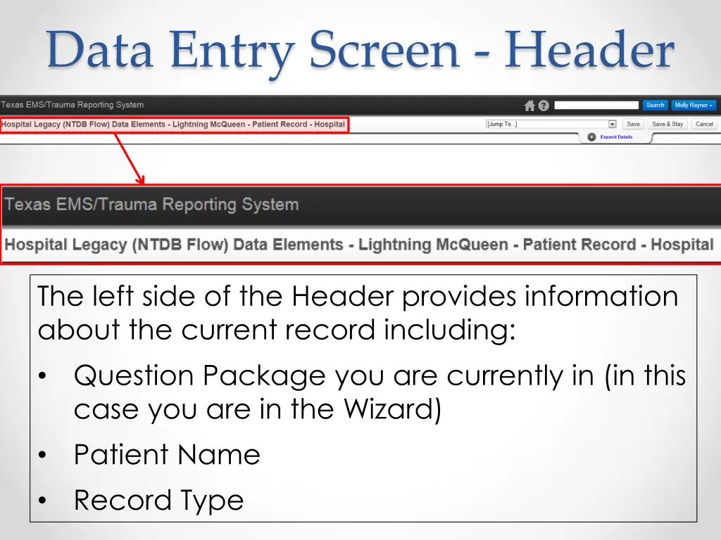 data entry screen header