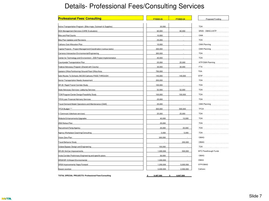 details professional fees consulting services