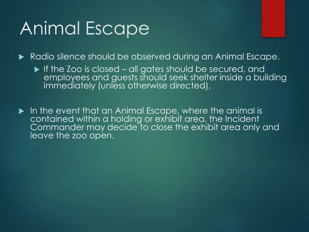 animal escape 1